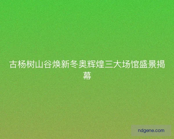 古杨树山谷焕新冬奥辉煌三大场馆盛景揭幕