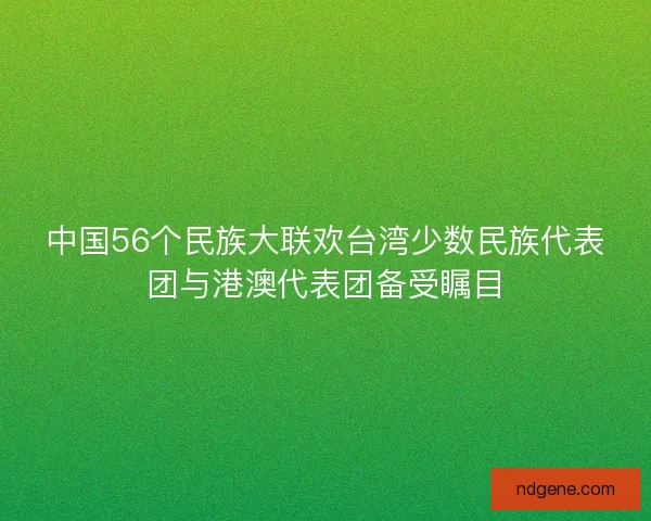 中国56个民族大联欢台湾少数民族代表团与港澳代表团备受瞩目